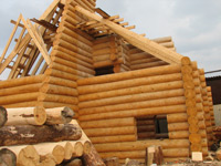 Стоимость строительства деревянного дома из бревна ручной рубки
